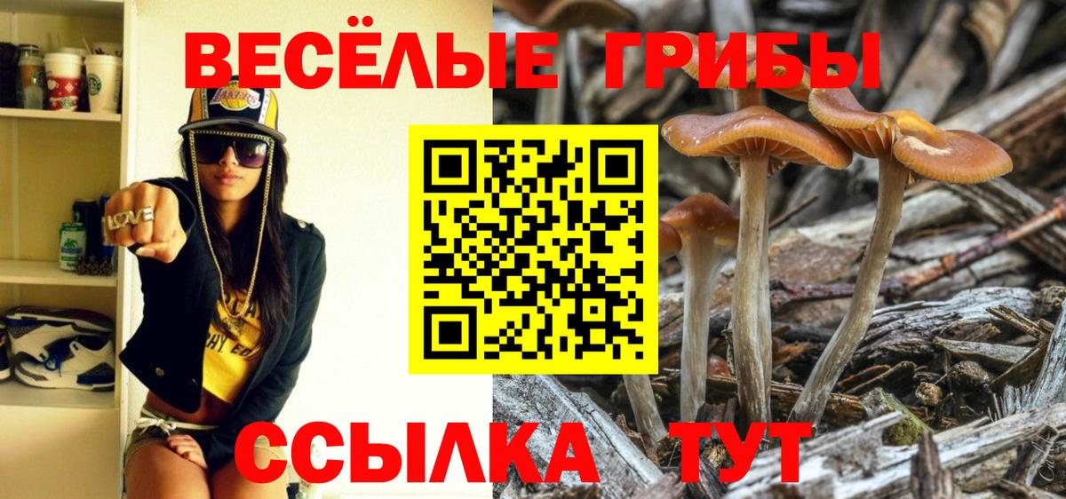Галлюциногенные грибы мицелий  Галлюциногенные грибы Magic Shrooms  Вход с VPN  купить наркотики сайты  Павлово 