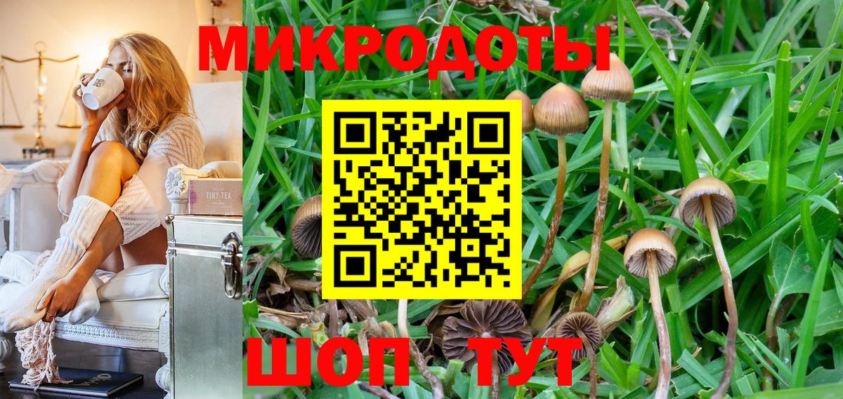 Псилоцибиновые грибы прущие грибы Павлово
