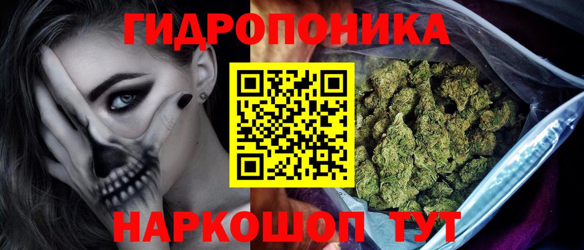 Канабис конопля Павлово